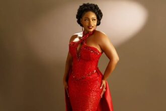 Het vermogen van Yemi Alade