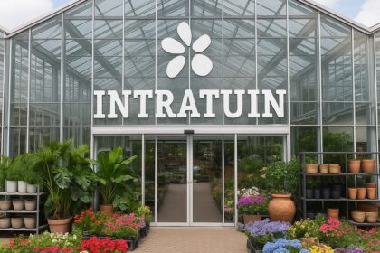 Intratuin Veghel – Bedrijfsoverzicht